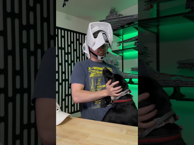 Vídeo relacionado con Star Wars The Black Series - Casco electrónico premium de soldado explorador Retorno del Jedi - Artículo para juego de rol de adultos