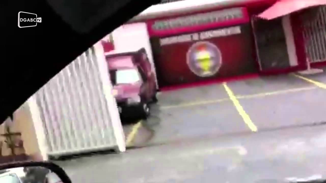 Flagramos: Três cachorrinhos sendo carregados na bicicleta; veja vídeo