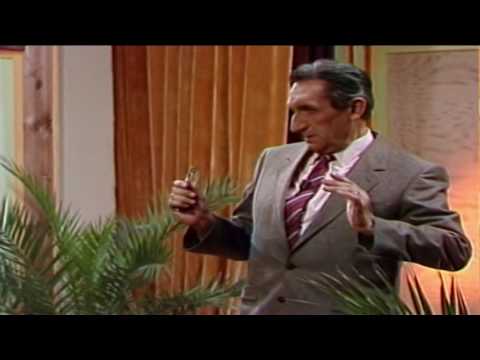 Hansgeorg Stengel - Geheimnisvolle DDR-Autokennzeichen 1984