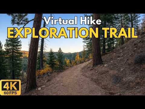 4K Treadmill Virtual Hike – Exploration Trail, San Bernardino National Forest | 76-Min Scenic POV