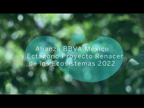Lanzamiento alianza BBVA