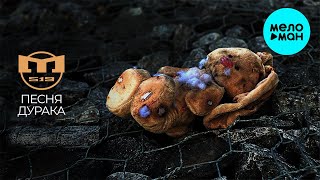 МИР519 - Песня дурака (Single 2023)