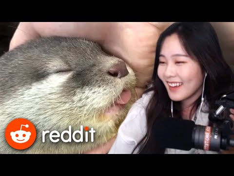 39daph Reacts to Reddit #7