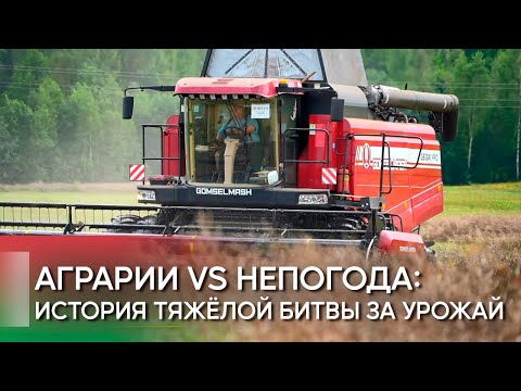 Уборочная – 2025. Битва аграриев за урожай.