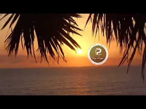 Clip officiel HASBIBI de CORA SOW