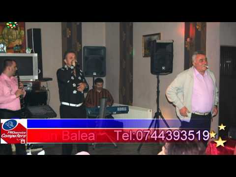 Fratii Balea si Marcelut Gavriluta - Live! 2013