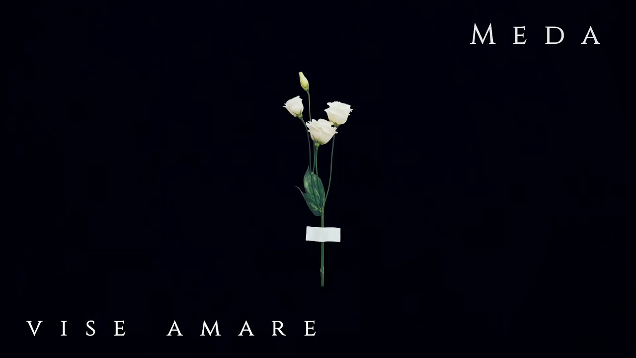 Meda Topîrceanu - Live