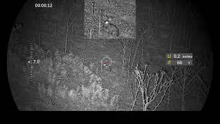 Amazing DNT Optics Zulus V2 - Rabbit Hunting