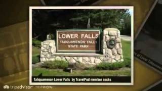 preview picture of video 'Tahquamenon Falls and Oswalds Bear Ranch Socks's photos around Saint Ignace, United States'