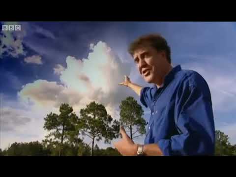 Top Gear Weather