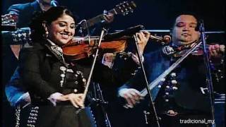 Huapango El Querreque con Mariachi