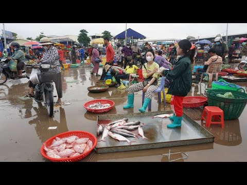 Morning Fish Market Scene @Prek Phnov - Walk Around Fish Market in Phnom Penh City