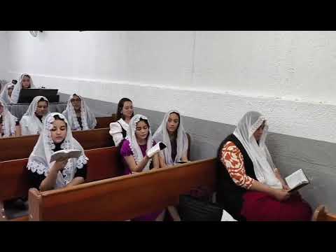 Clínica de recuperação na cidade de quitandinha PR