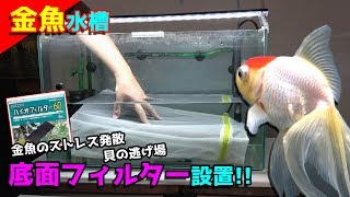【金魚】「底面フィルター」設置！綺麗な五色石敷いていきましょう！前編