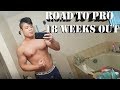 Road to Pro - 18 Weeks Out