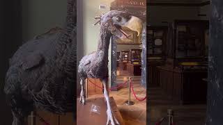 #MuseumsInVienna