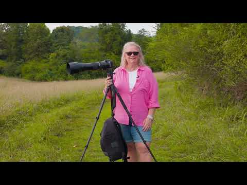 Saving an Eagle at Tennessee National