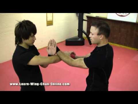 Wing Chun Sil Lim Tao Drills Video Preview - Sifu Chuck O'Neill