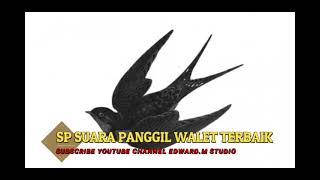 Download lagu Suara Panggil Burung Walet Terbaik, Gratis 100% #Shorts mp3