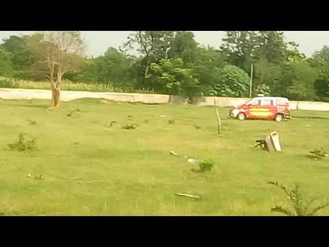 Mass Sampling Plantation Drive@Bokaro