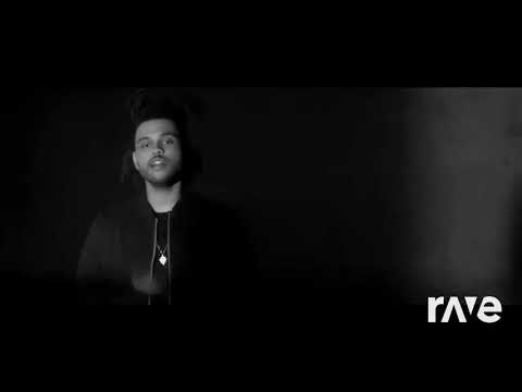 Ravedj Dallalto - Rkomi & Harder Me Love ft. Dardust, The Weekend •, The Weeknd | RaveDj
