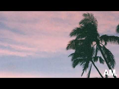 べたTOPAZ GANG - PALM TREE