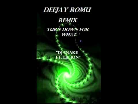 dj romu remix - turn down for what 