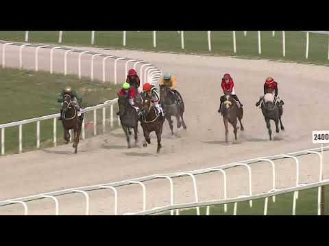 2021.07.25. 07. futam - NÉMETH FERENC EMLÉKKUPA III. FUTAMA HENDIKEP (V.o.) (szintetikus pálya)