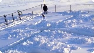 Dog and a snow maze