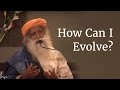 How Can I Evolve? - Sadhguru