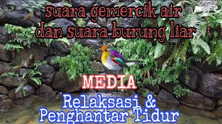 Download lagu SUARA GEMERCIK AIR DAN SUARA BURUNG LIAR UNTUK RELAKSASI DAN PENGHANTAR TIDUR mp3