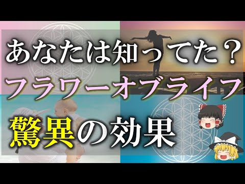 ポール・J・フローリーについて詳しく解説