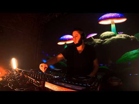 ELEVIN and NOTMAINSTREAM by ELEVIN