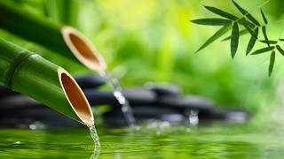 Música Relajante de Piano 🌿 Sonido de Agua que Fluye 🌿 Música para Meditación, Zen Garden #5