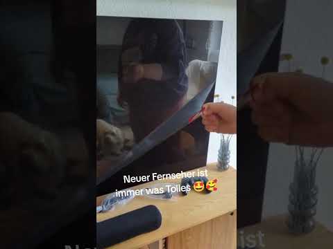 Endlich ein neuer TV zum Zocken!! #gaming #podcast #nintendo #switch2 #oled #tv