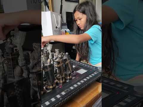 When you see your nephew playing with your $400 Harry Potter wizards chess set