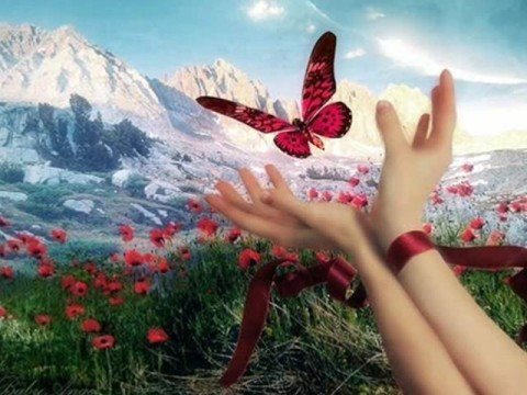 Dan Fogelberg - Longer