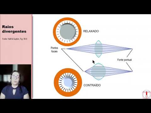 Neurofisiologia - Sistemas sensoriais - Visão - vídeo 1 de 5