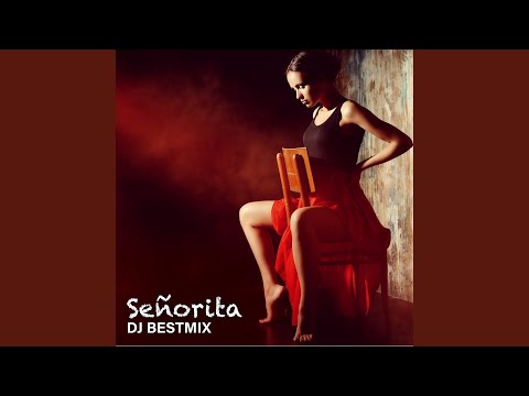 Dj Bestmix Señorita Ringtone Version