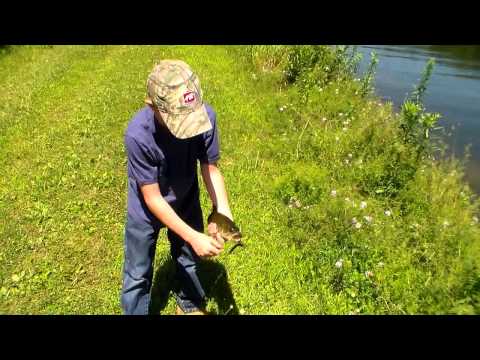 pond fishing episode 3