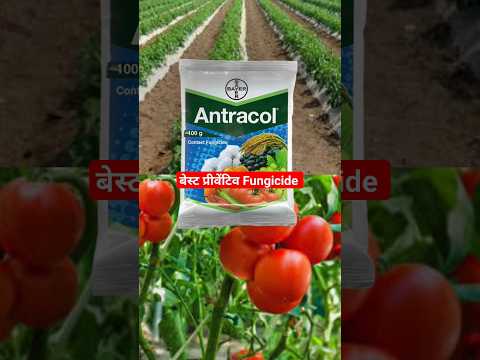 antracol fungicide | bayer antracol fungicide | #drpunitshishodia  #fungicide #agriculture
