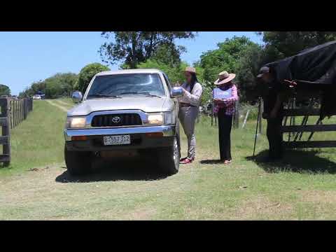 DIA SABADO MOIRONES RIVERA