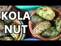 KOLA NUT The Stimulating Fruit Once Used In COCA COLA Weird Fruit Explorer Ep 379