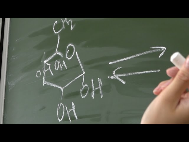 Результаты последних экзаменов станут известны 25 июня