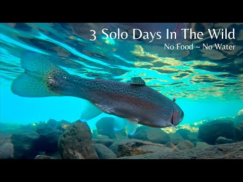 Eating ONLY What I Catch Fishing For 3 DAYS (No Food NO Water) Solo Camping and Fishing Adventure