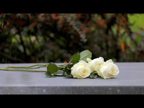 Paolo Spannox - DA QUI A TE (Visual)