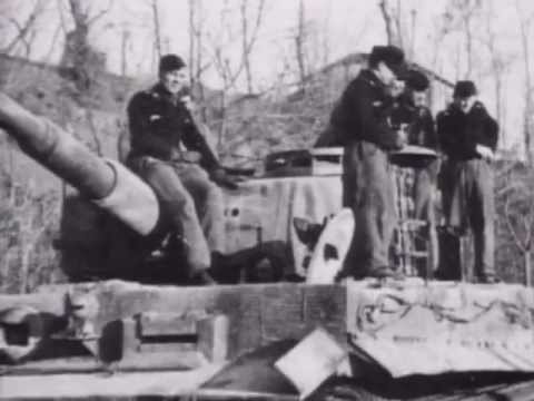 The Tiger Tanks