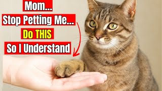 Download lagu 20 Ways to Say ‘I LOVE YOU’ to Your Cat— In a Language They Actually Understand mp3 Download lagu 20 Ways to Say ‘I LOVE YOU’ to Your Cat— In a Language They Actually Understand mp3