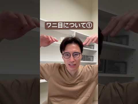 医学科 ワニ目について①