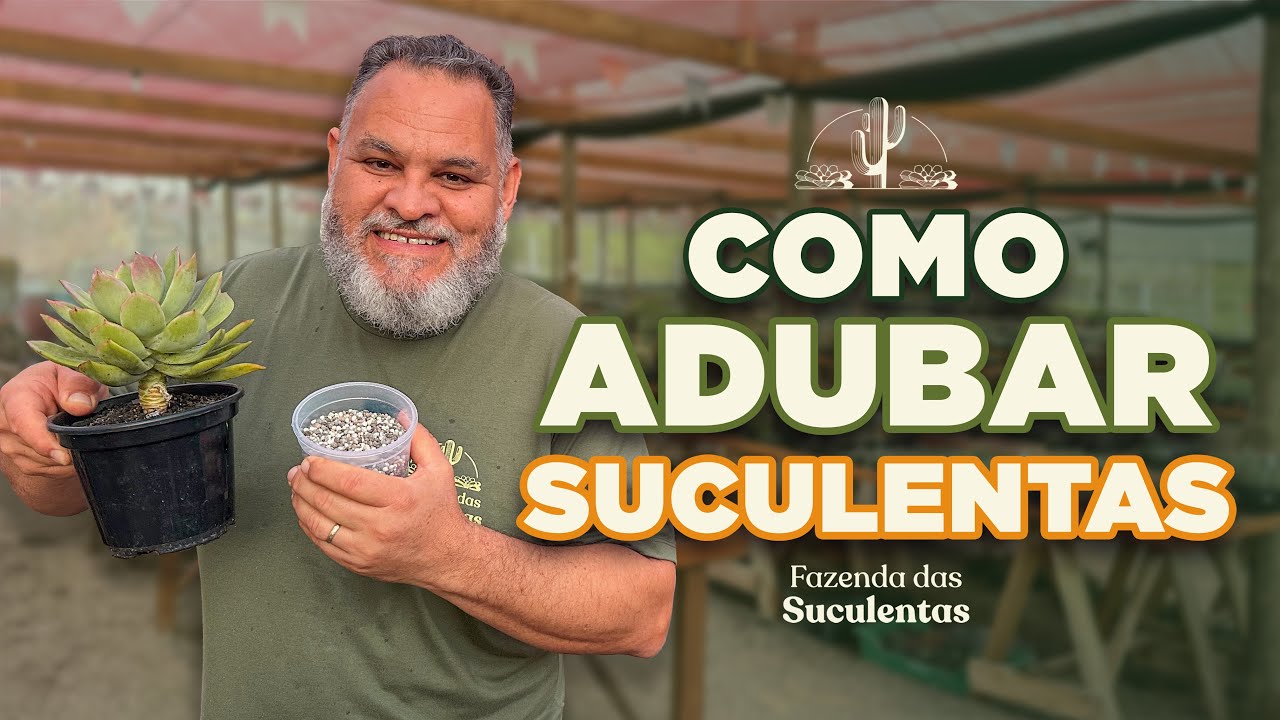3 formas de ADUBAR as tua SUCULENTAS!